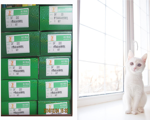 CAT大，中，小臂油封